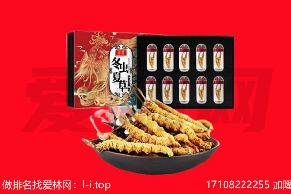 献县回收虫草.jpg